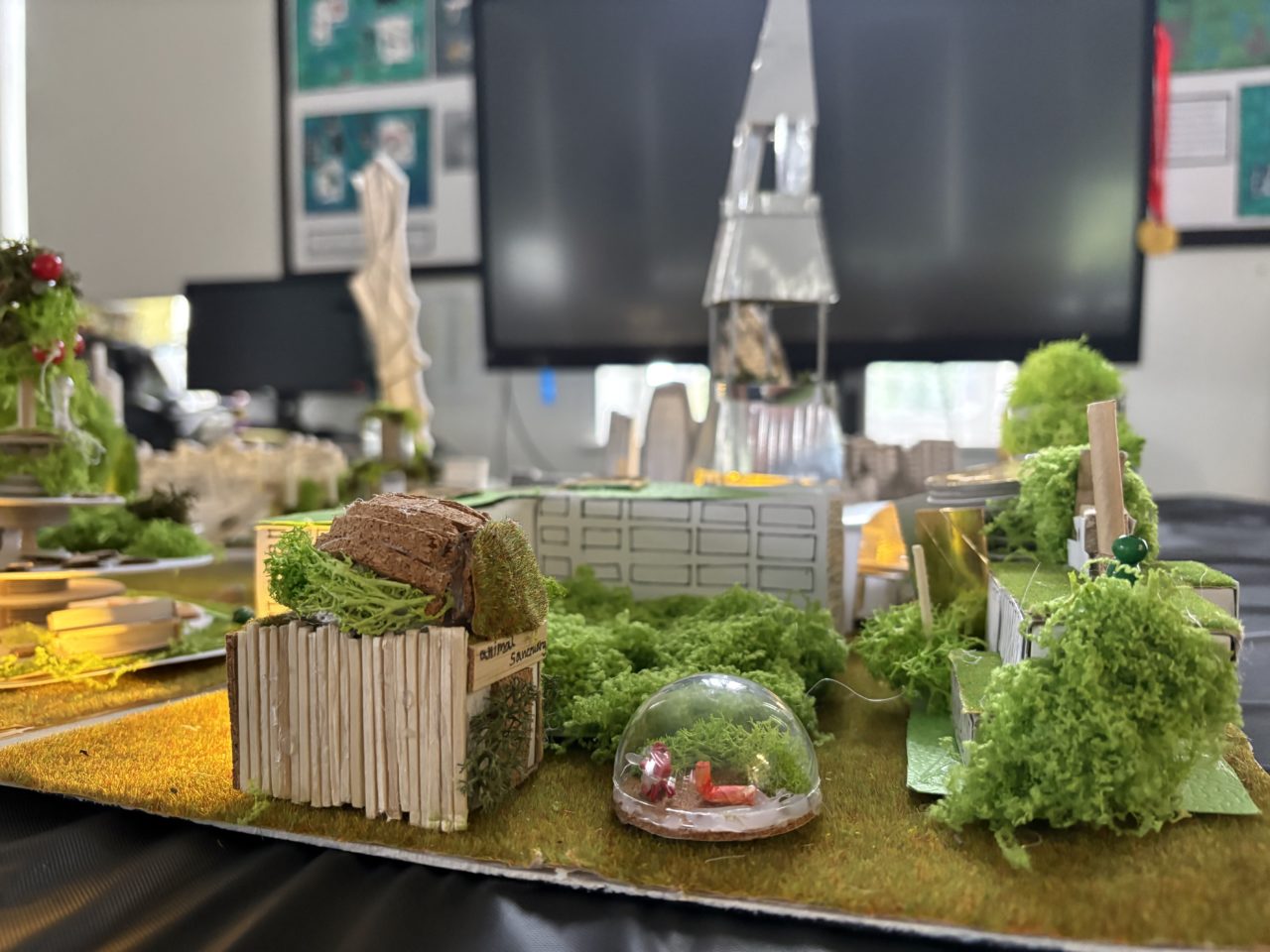 Children made an animal sanctuary to support London Wild life, complete with secured Fox Dens with miniature models of foxes.
